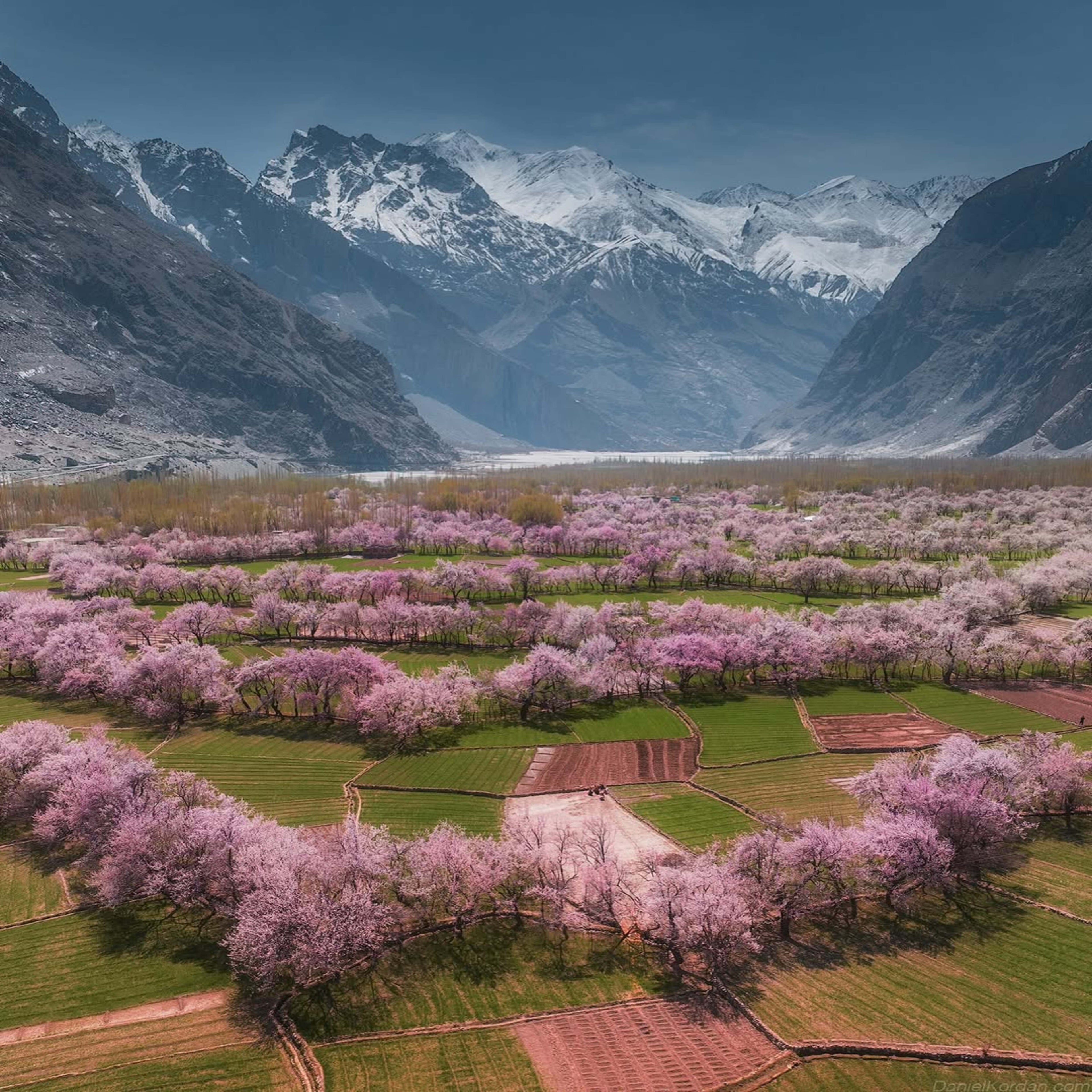 Cherry Blossom Pakistan Tour - 11 Day Luxury Experience