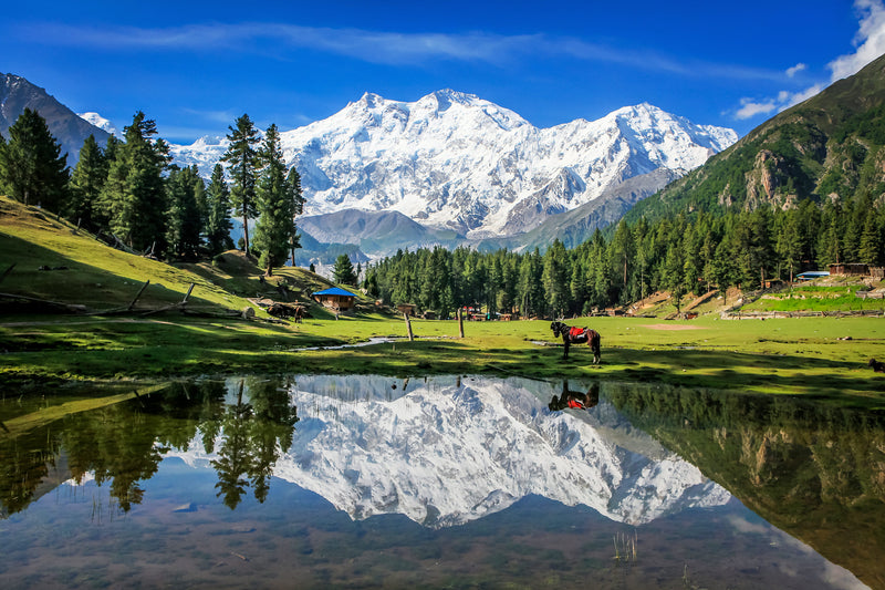 Fairy Meadows