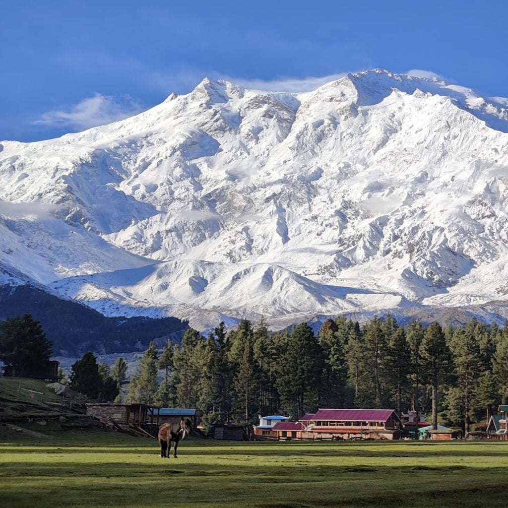 Nanga Parbat Base Camp Tour