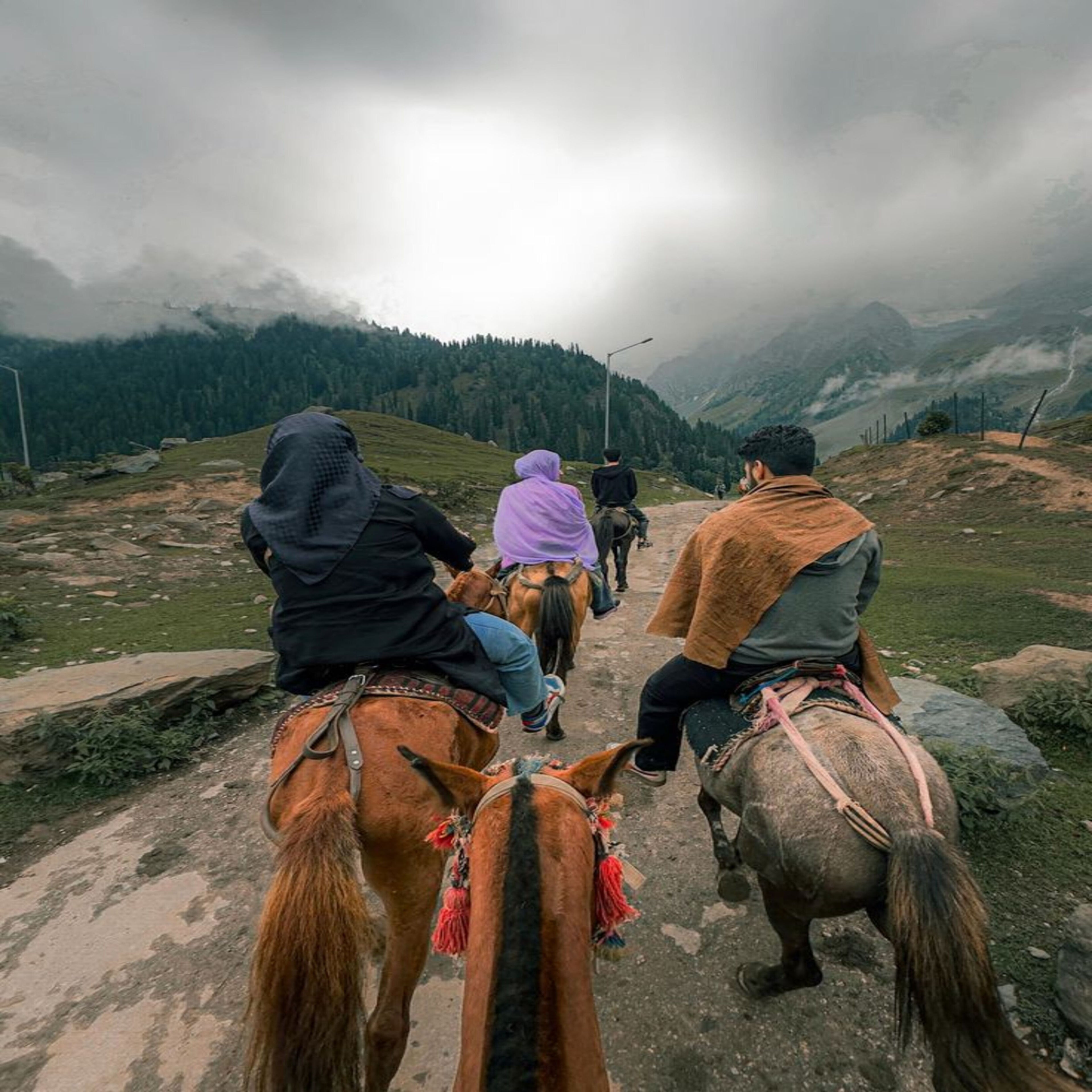 Horse Riding Experiences in Pakistan