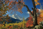 Hunza Luxury Escape - 7 Days tour