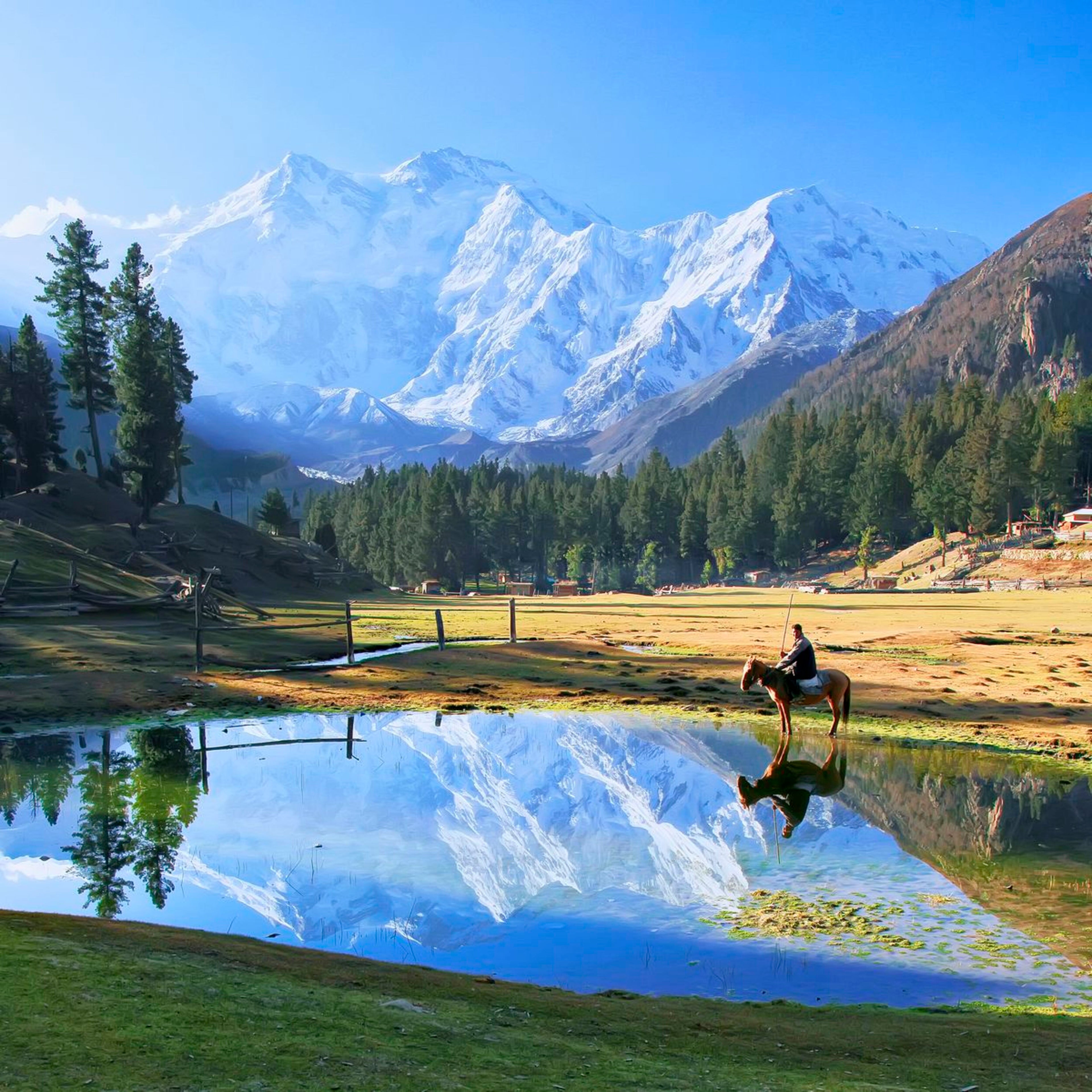 Nanga Parbat Base Camp Tour