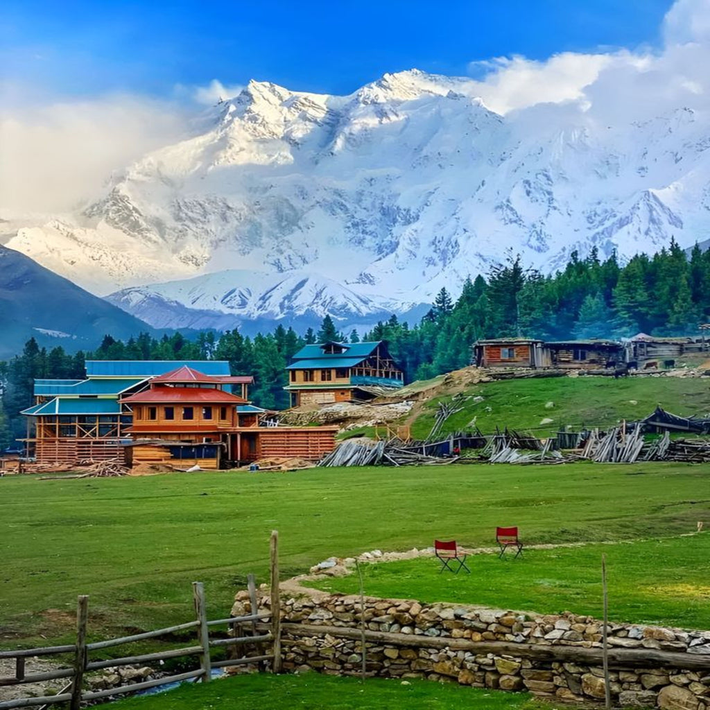 Nanga Parbat Base Camp Tour
