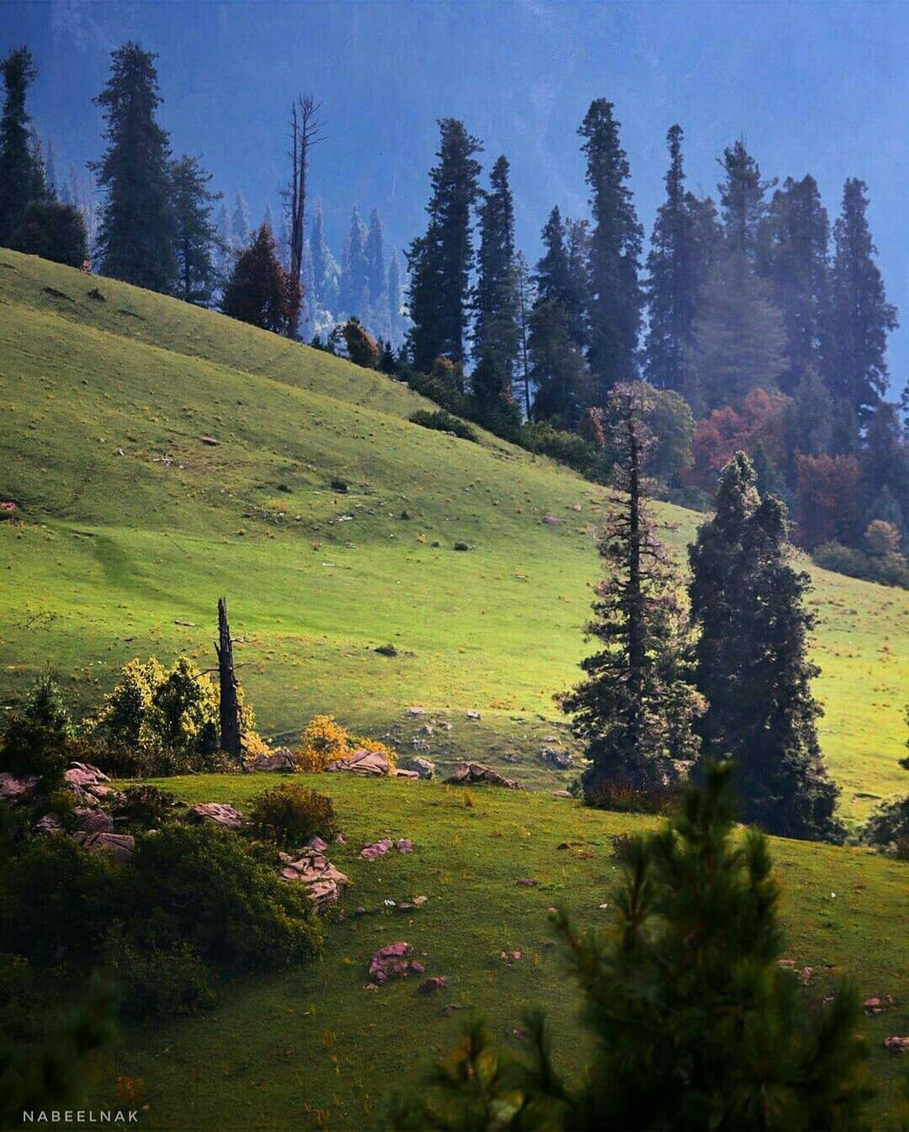 Shogran, Siri Paye, Harnoi & Murree Patriata  8 Days Tour